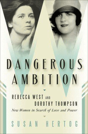 fangerous ambition book jacket